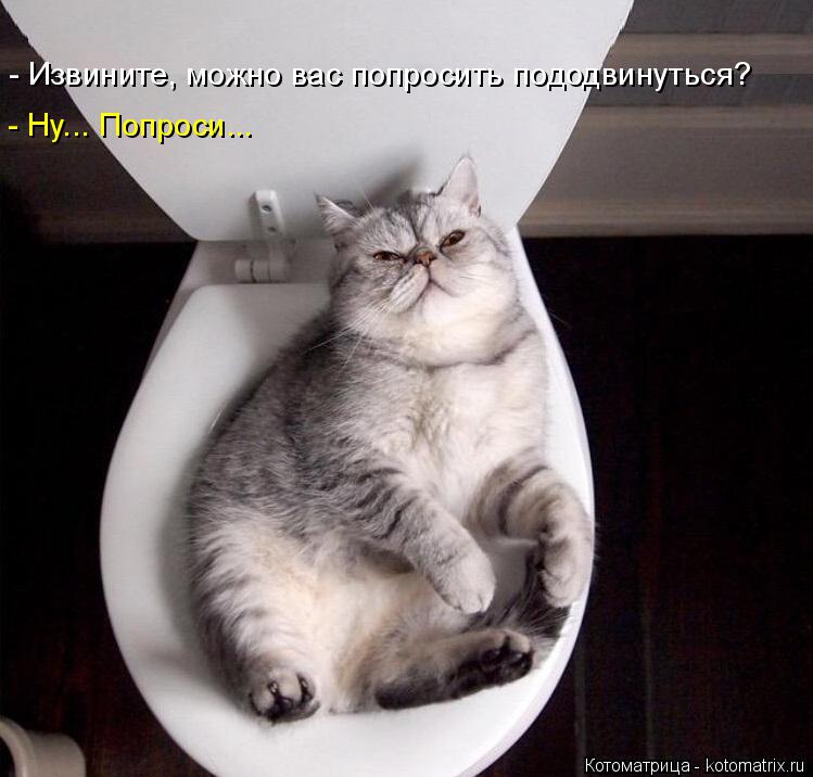 - Извините, можно вас попросить пододвинуться? - Ну... Попроси...... Котоматрица: - Извините, можно вас попросить пододвинуться? - Ну... Попроси...