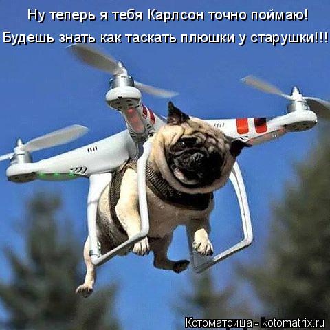 Ну теперь я тебя Карлсон точно поймаю! Будешь знать как таскать плюшки у старушки!!!... Котоматрица: Ну теперь я тебя Карлсон точно поймаю! Будешь знать как таскать плюшки у старушки!!!
