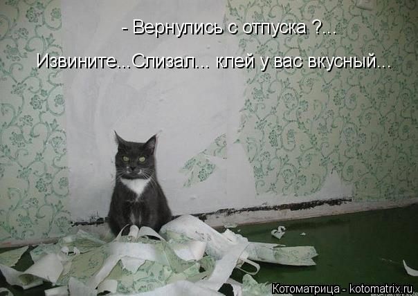 - Вернулись с отпуска ?... Извините...Слизал... клей у вас вкусный...... Котоматрица: - Вернулись с отпуска ?... Извините...Слизал... клей у вас вкусный...