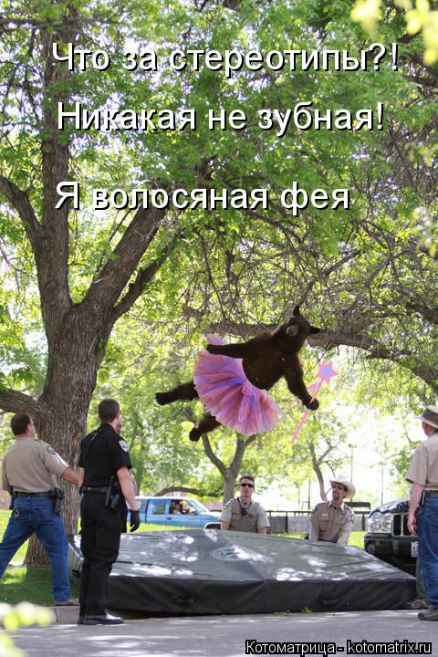 Что за стереотипы?! Никакая не зубная! Я волосяная фея... Котоматрица: Что за стереотипы?! Никакая не зубная! Я волосяная фея