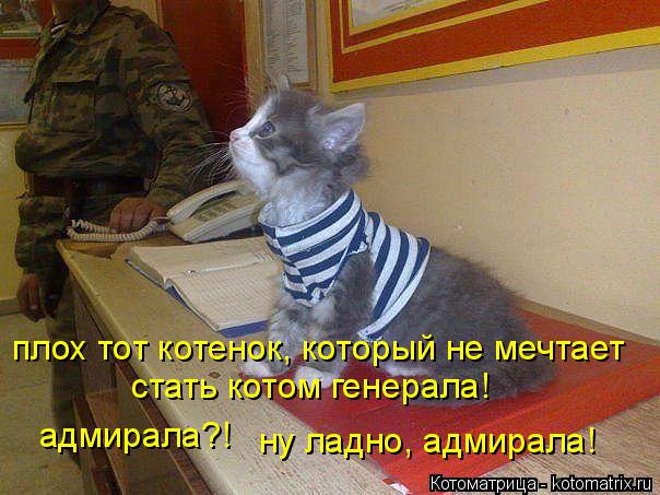 Котоматрица: плох тот котенок, который не мечтает  стать котом генерала! адмирала?! ну ладно, адмирала!