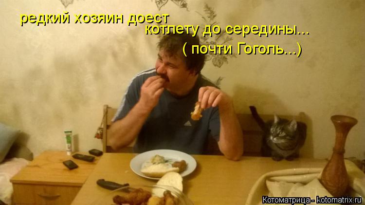 котлету до середины... редкий хозяин доест ( почти Гоголь...)... Котоматрица: котлету до середины... редкий хозяин доест ( почти Гоголь...)