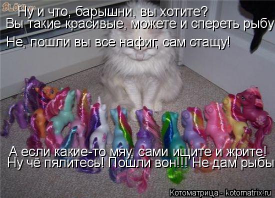 Ну и что, барышни, вы хотите? Вы такие красивые, можете и спереть рыбу Не, пошли вы все нафиг, сам ст... Котоматрица: Ну и что, барышни, вы хотите? Вы такие красивые, можете и спереть рыбу Не, пошли вы все нафиг, сам стащу! А если какие-то мяу, сами ищите и жрите!