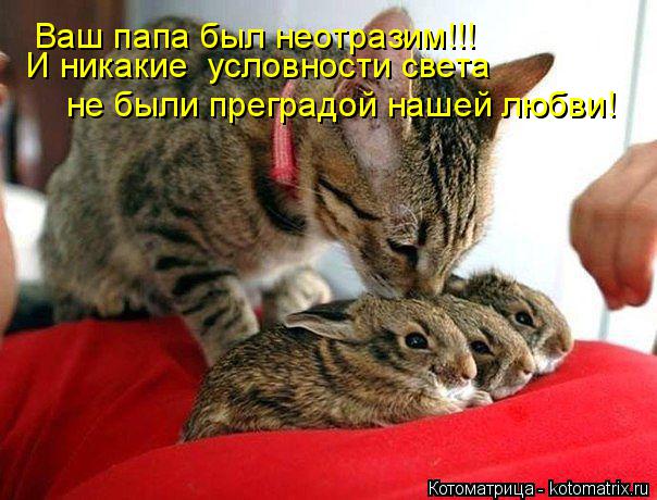 Ваш папа был неотразим!!! И никакие условности света не были преградой нашей любви!... Котоматрица: Ваш папа был неотразим!!! И никакие условности света не были преградой нашей любви!