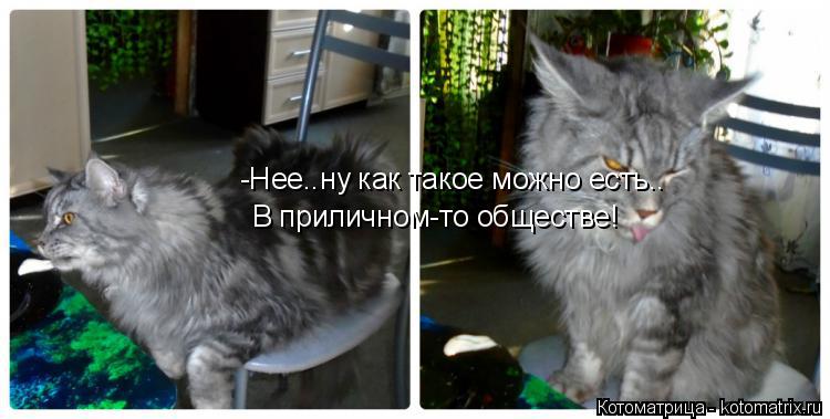 -Нее..ну как такое можно есть.. В приличном-то обществе!... Котоматрица: -Нее..ну как такое можно есть.. В приличном-то обществе!