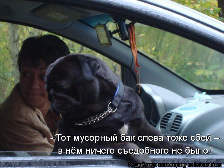 - Тот мусорный бак слева тоже сбей – в нём ничего съедобного не было!... Котоматрица: - Тот мусорный бак слева тоже сбей – в нём ничего съедобного не было!