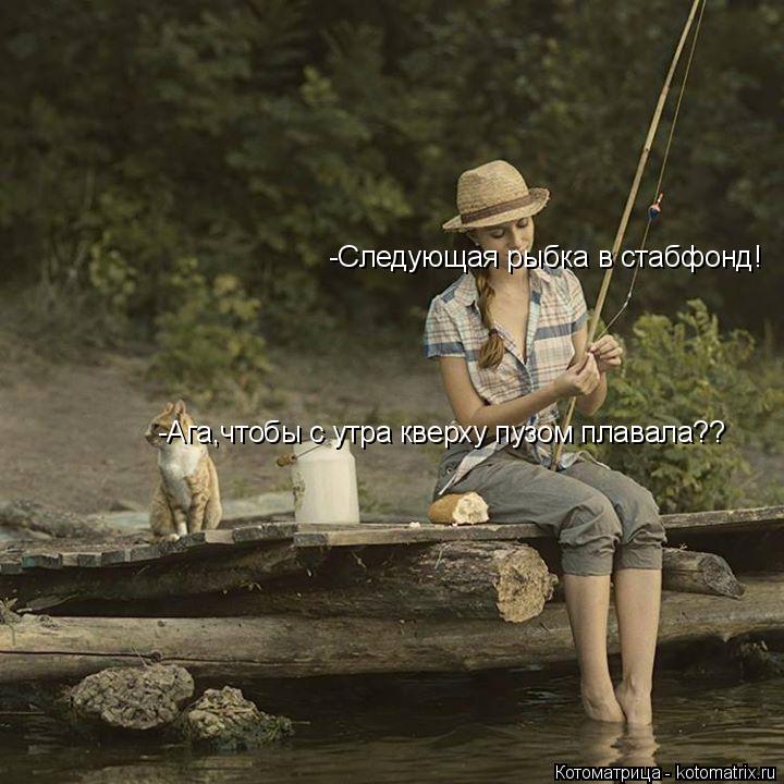 -Следующая рыбка в стабфонд! -Ага,чтобы с утра кверху пузом плавала??... Котоматрица: -Следующая рыбка в стабфонд! -Ага,чтобы с утра кверху пузом плавала??