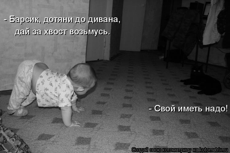 - Барсик, дотяни до дивана, дай за хвост возьмусь. - Свой иметь надо!... Котоматрица: - Барсик, дотяни до дивана, дай за хвост возьмусь. - Свой иметь надо!
