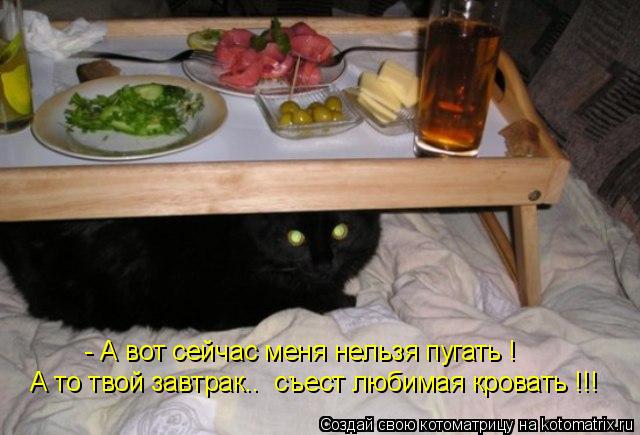 - А вот сейчас меня нельзя пугать ! А то твой завтрак.. съест любимая кровать !!!... Котоматрица: - А вот сейчас меня нельзя пугать ! А то твой завтрак.. съест любимая кровать !!!