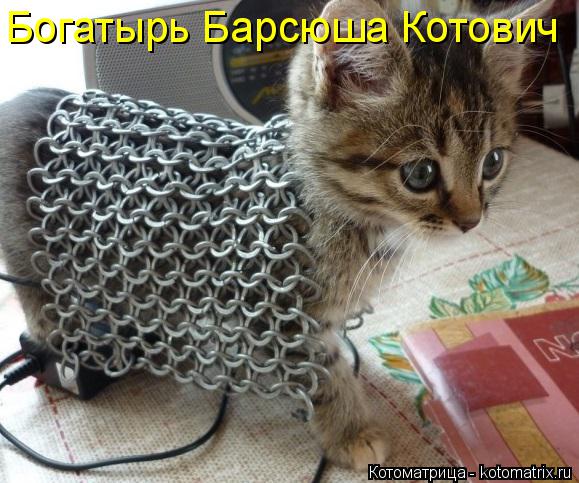 Котоматрица: Богатырь Барсюша Котович