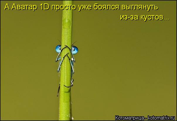 Котоматрица: А Аватар 1D просто уже боялся выглянуть из-за кустов...