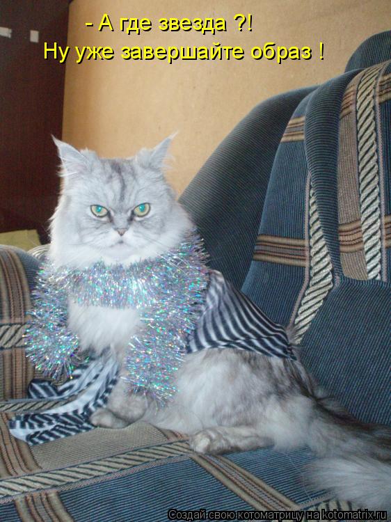 Котоматрица: - А где звезда ?! Ну уже завершайте образ !