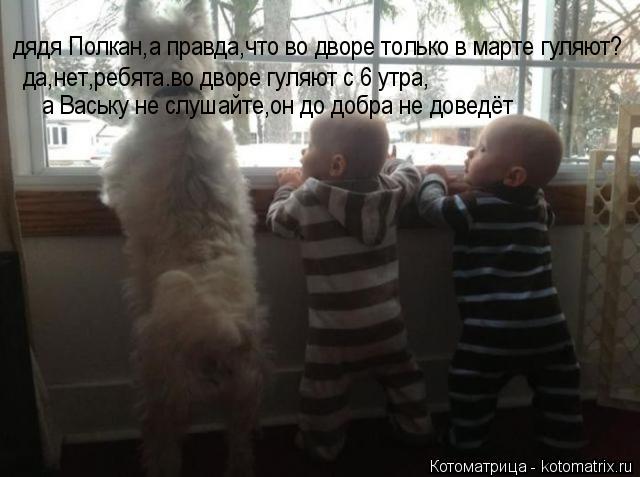 Котоматрица: дядя Полкан,а правда,что во дворе только в марте гуляют? да,нет,ребята.во дворе гуляют с 6 утра, а Ваську не слушайте,он до добра не доведёт