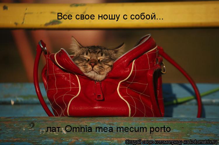 Котоматрица: Все свое ношу с собой... лат. Omnia mea mecum porto