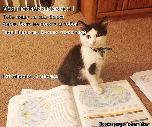 Котоматрица: Моя любимая масюся ! Тебе пишу , а сам боюся  Вновь быть не понятым тобой Твоя Планета , Вискас -тоже твой. Кот Марсик , 3 месяца