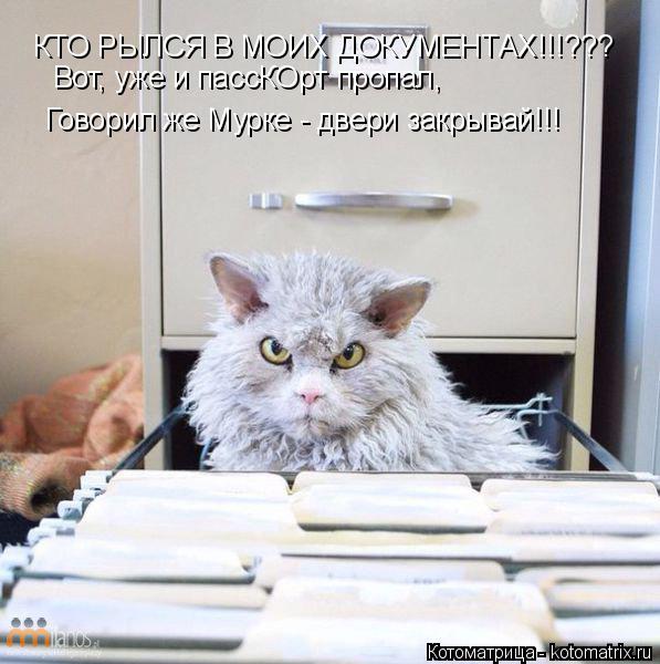 КТО РЫЛСЯ В МОИХ ДОКУМЕНТАХ!!!??? Вот, уже и пассКОрт пропал, Говорил же Мурке - двери закрывай!!!... Котоматрица: КТО РЫЛСЯ В МОИХ ДОКУМЕНТАХ!!!??? Вот, уже и пассКОрт пропал, Говорил же Мурке - двери закрывай!!!