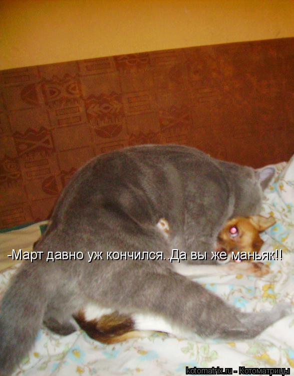 -Март давно уж кончился..Да вы же маньяк!!... Котоматрица: -Март давно уж кончился..Да вы же маньяк!!