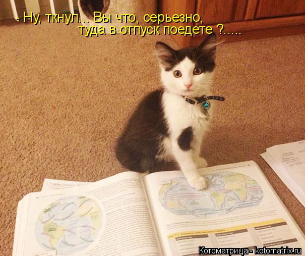 Котоматрица: - Ну, ткнул... Вы что, серьезно,  туда в отпуск поедете ?.....