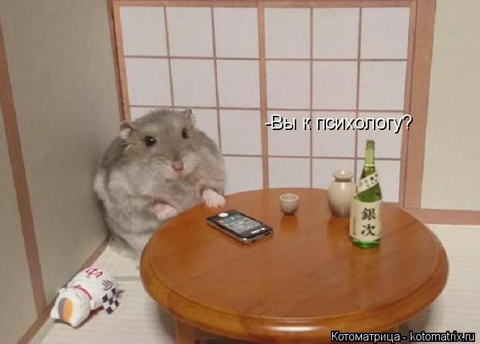 -Вы к психологу?... Котоматрица: -Вы к психологу?