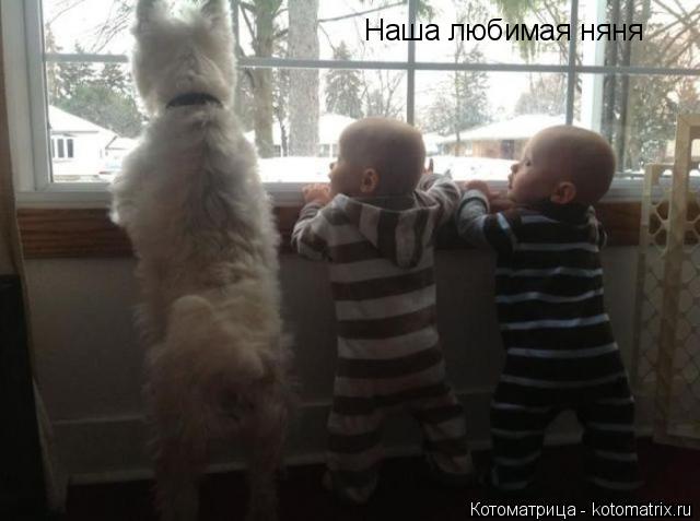 Наша любимая няня... Котоматрица: Наша любимая няня