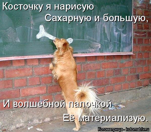 Котоматрица: Косточку я нарисую Сахарную и большую, И волшебной палочкой Её материализую.