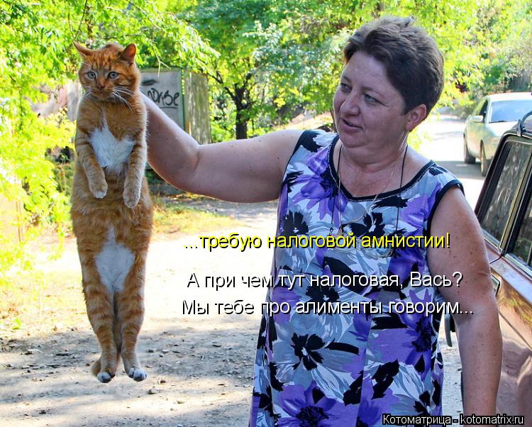 ...требую налоговой амнистии! А при чем тут налоговая, Вась? А при ч Мы тебе про алименты говорим...... Котоматрица: ...требую налоговой амнистии! А при чем тут налоговая, Вась? А при ч Мы тебе про алименты говорим...