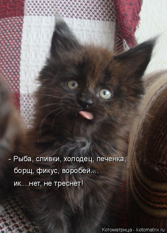 - Рыба, сливки, холодец, печенка, борщ, фикус, воробей.... ик....нет, не треснет!... Котоматрица: - Рыба, сливки, холодец, печенка, борщ, фикус, воробей.... ик....нет, не треснет!