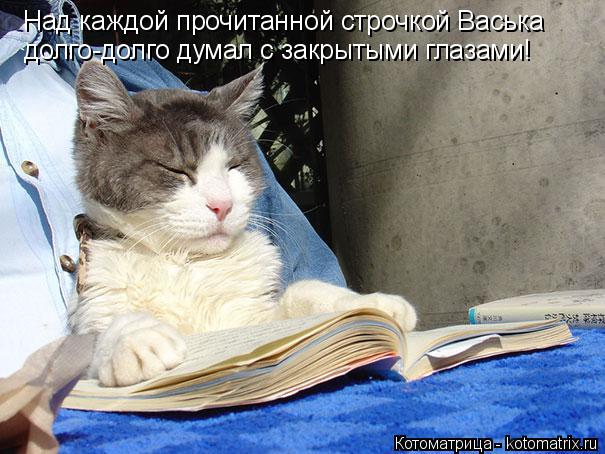 Котоматрица: Над каждой прочитанной строчкой Васька  долго-долго думал с закрытыми глазами!