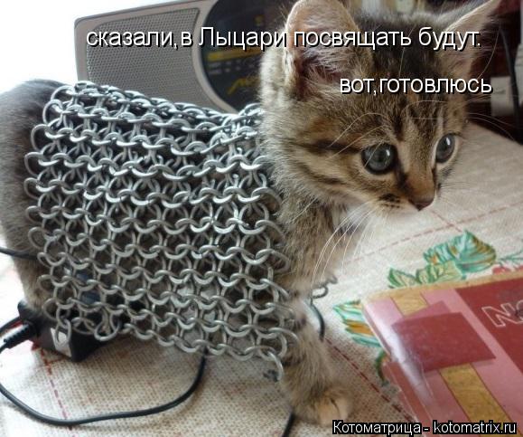 сказали,в Лыцари посвящать будут. вот,готовлюсь... Котоматрица: сказали,в Лыцари посвящать будут. вот,готовлюсь