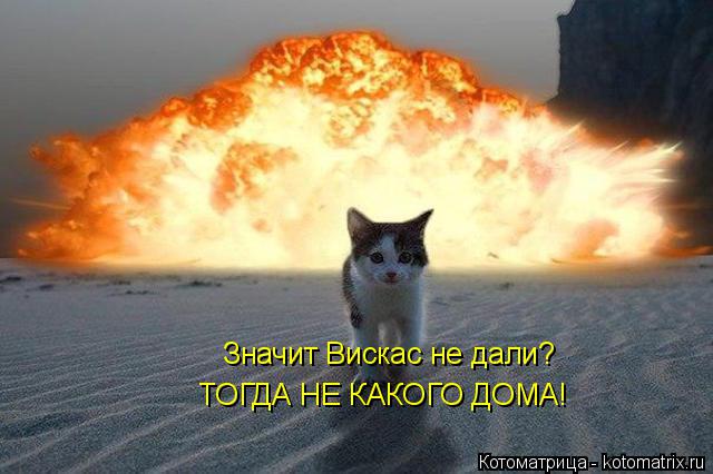 Котоматрица: Значит Вискас не дали?  ТОГДА НЕ КАКОГО ДОМА!