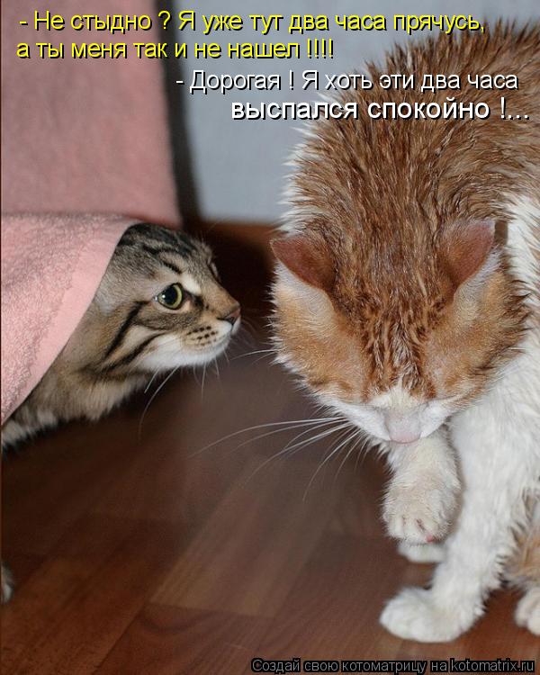 Котоматрица: - Не стыдно ? Я уже тут два часа прячусь, а ты меня так и не нашел !!!! - Дорогая ! Я хоть эти два часа выспался спокойно !...
