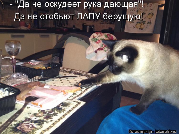 Котоматрица: - "Да не оскудеет рука дающая"! Да не отобьют ЛАПУ берущую!