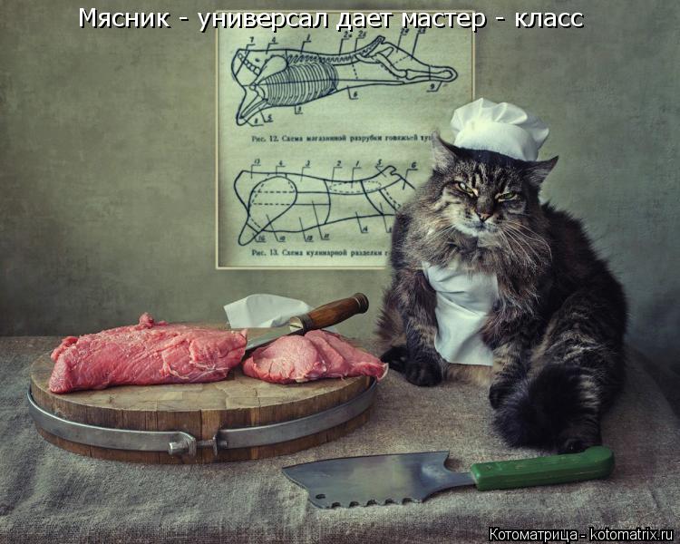 Котоматрица: Мясник - универсал дает мастер - класс