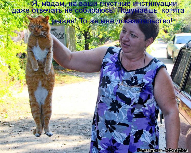 - Я, мадам, на ваши гнустные инстинуации даже отвечать не собираюсь! Подумаешь, котята рыжие! То же м... Котоматрица: - Я, мадам, на ваши гнустные инстинуации даже отвечать не собираюсь! Подумаешь, котята рыжие! То же мне доказательство!