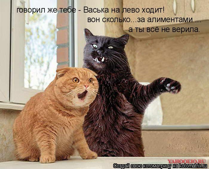 Котоматрица: говорил же тебе - Васька на лево ходит! вон сколько...за алиментами ... а ты всё не верила.