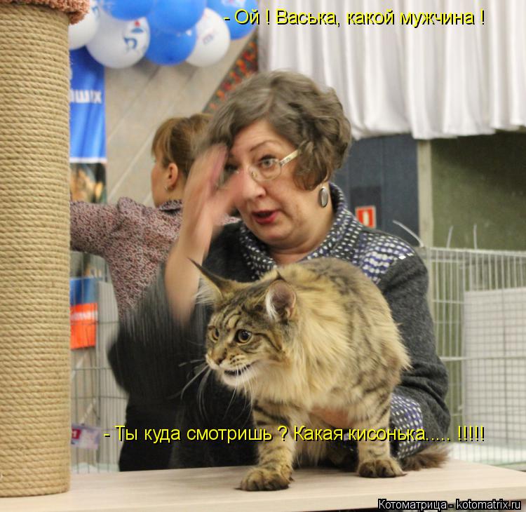 Котоматрица: - Ой ! Васька, какой мужчина !  - Ты куда смотришь ? Какая кисонька..... !!!!!