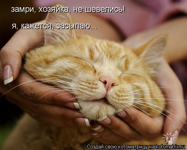 замри, хозяйка, не шевелись! я, кажется, засыпаю...... Котоматрица: замри, хозяйка, не шевелись! я, кажется, засыпаю...