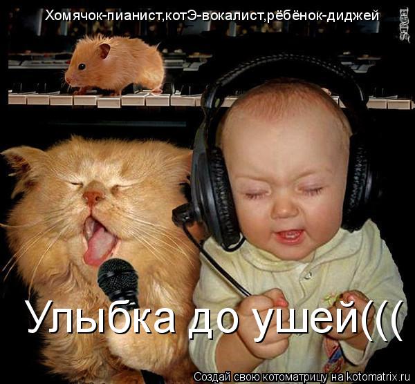 Котоматрица: Хомячок-пианист,котЭ-вокалист,рёбёнок-диджей Улыбка до ушей(((