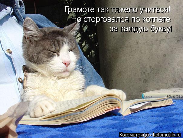 Грамоте так тяжело учиться! Но сторговался по котлете за каждую букву!... Котоматрица: Грамоте так тяжело учиться! Но сторговался по котлете за каждую букву!