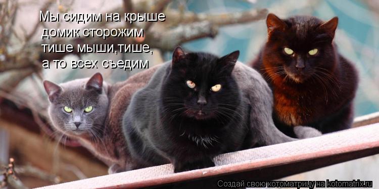 Котоматрица: Мы сидим на крыше домик сторожим тише мыши,тише, а то всех съедим