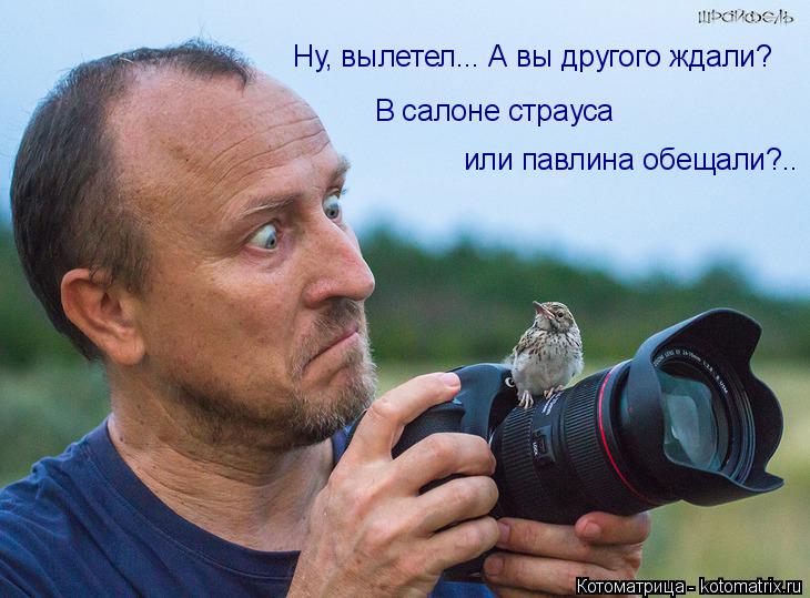 В салоне страуса или павлина обещали?.. Ну, вылетел... А вы другого ждали?... Котоматрица: В салоне страуса или павлина обещали?.. Ну, вылетел... А вы другого ждали?