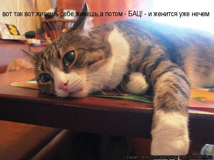 вот так вот живешь себе,живешь,а потом - БАЦ! - и женится уже нечем... Котоматрица: вот так вот живешь себе,живешь,а потом - БАЦ! - и женится уже нечем