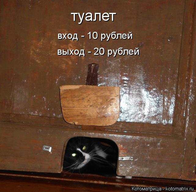 Котоматрица: туалет вход - 10 рублей выход - 20 рублей