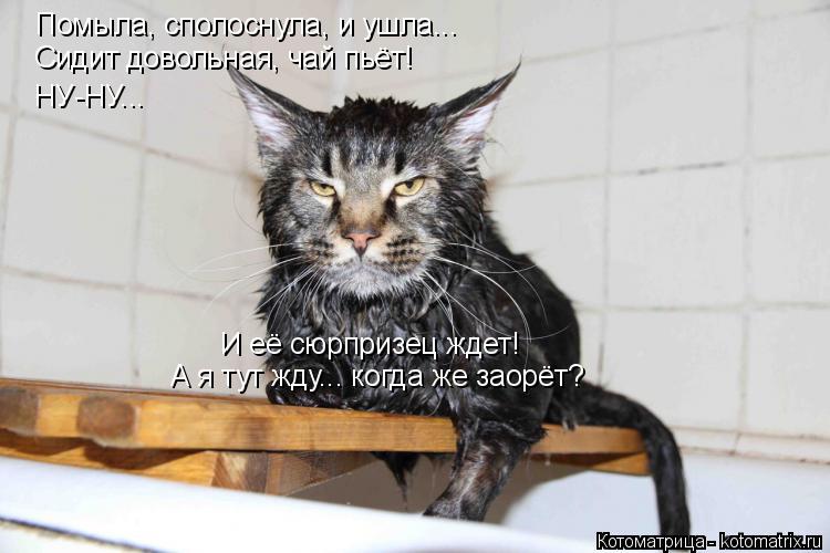 Котоматрица: Помыла, сполоснула, и ушла... Сидит довольная, чай пьёт! НУ-НУ... И её сюрпризец ждет! А я тут жду... когда же заорёт?