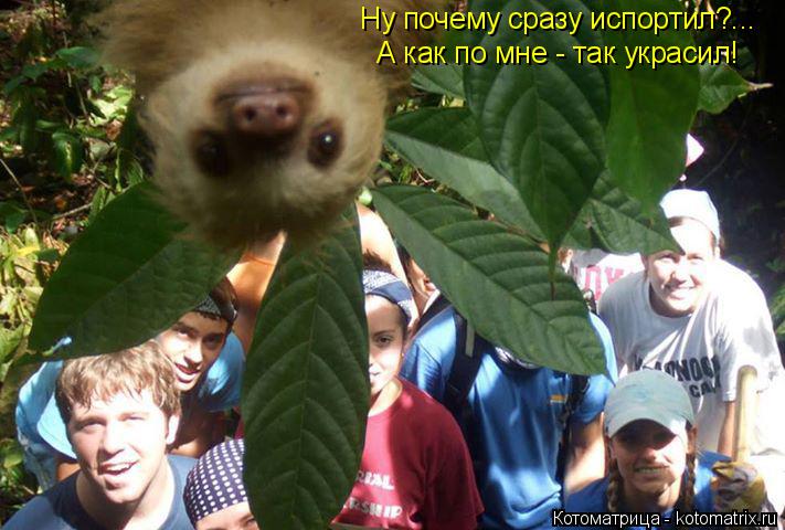 Ну почему сразу испортил?... А как по мне - так украсил!... Котоматрица: Ну почему сразу испортил?... А как по мне - так украсил!
