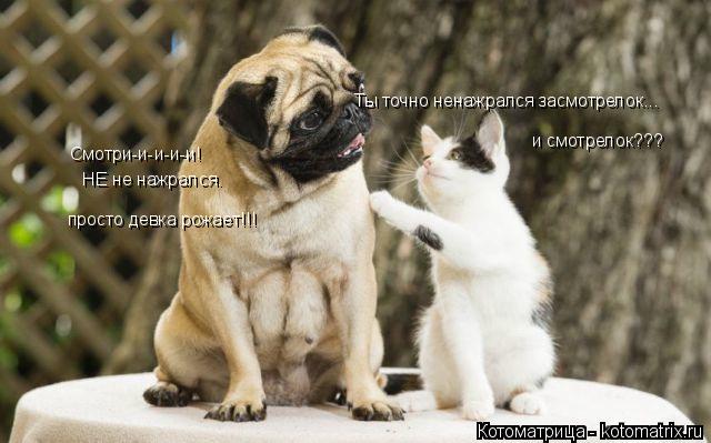 Ты точно ненажрался засмотрелок... и смотрелок??? Смотри-и-и-и-и! НЕ не нажрался. просто девка рожае... Котоматрица: Ты точно ненажрался засмотрелок... и смотрелок??? Смотри-и-и-и-и! НЕ не нажрался. просто девка рожает!!!