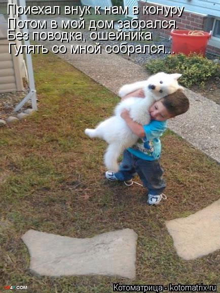 Приехал внук к нам в конуру Потом в мой дом забрался. Без поводка, ошейника Гулять со мной собрался..... Котоматрица: Приехал внук к нам в конуру Потом в мой дом забрался. Без поводка, ошейника Гулять со мной собрался...