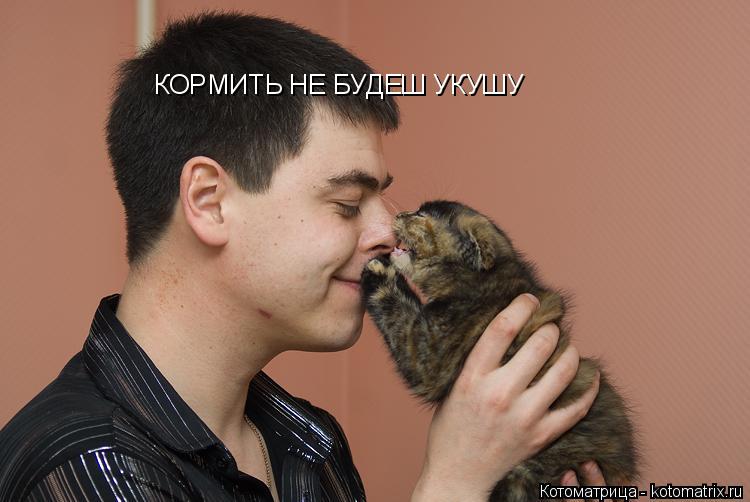 Котоматрица: КОРМИТЬ НЕ БУДЕШ УКУШУ