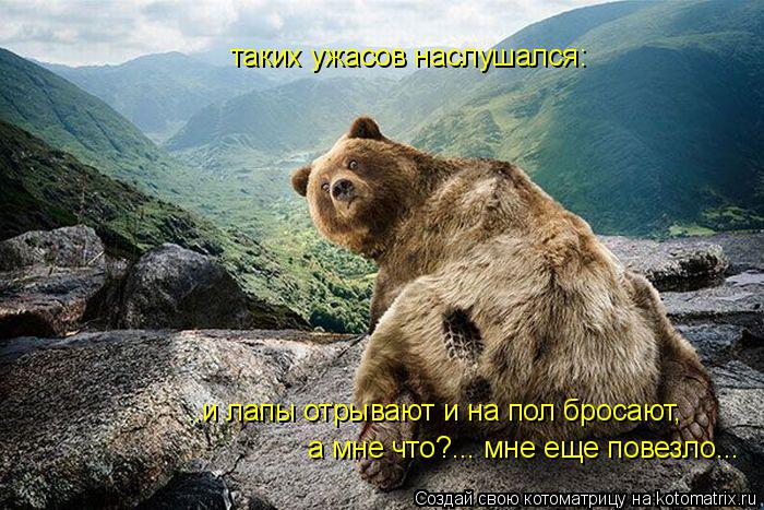таких ужасов наслушался: ..и лапы отрывают и на пол бросают, а мне что?... мне еще повезло...... Котоматрица: таких ужасов наслушался: ..и лапы отрывают и на пол бросают, а мне что?... мне еще повезло...
