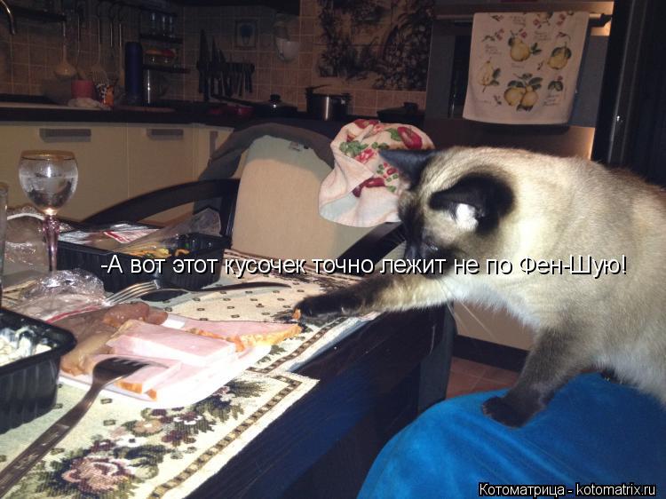 -А вот этот кусочек точно лежит не по Фен-Шую!... Котоматрица: -А вот этот кусочек точно лежит не по Фен-Шую!